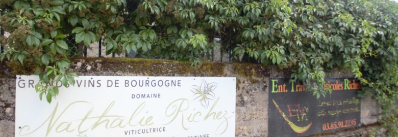 Domaine Richez