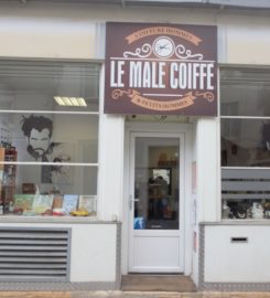 Le Mâle coiffé